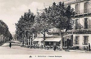 DJIDJELLI - AVENUE CADAIGNE 